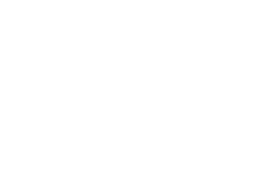 logo-site